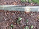 image of grave number 835649